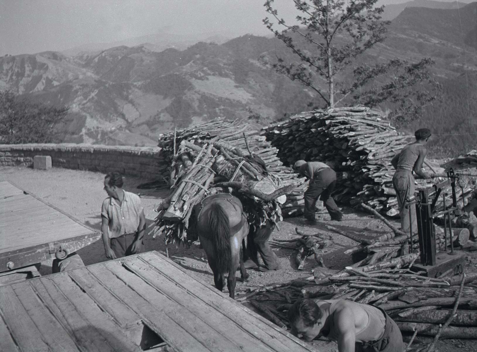 Il taglio del bosco Popoli del Parco